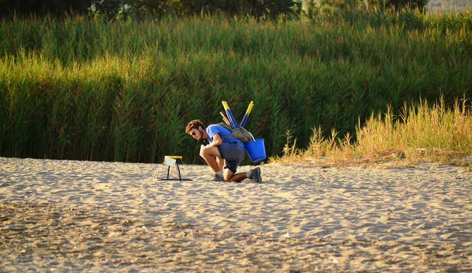 Rethymno Beach Turtle Walk