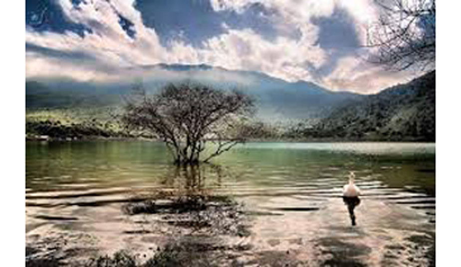 From Rethymno -  Kournas Lake & Chania City -Tour