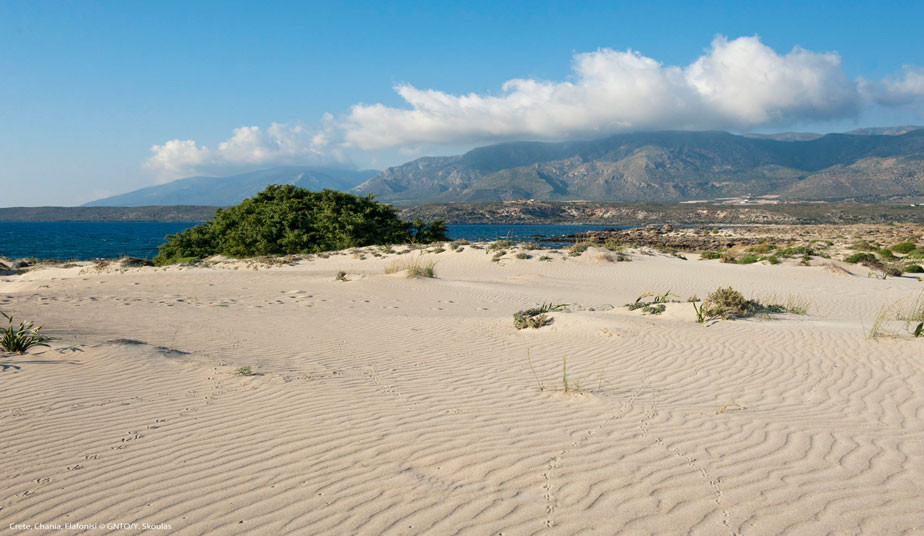 Rethymno - Elafonisi Island Tour