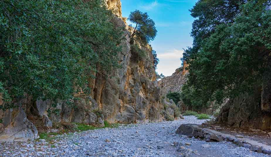Book Imbros Gorge Tour From Chania