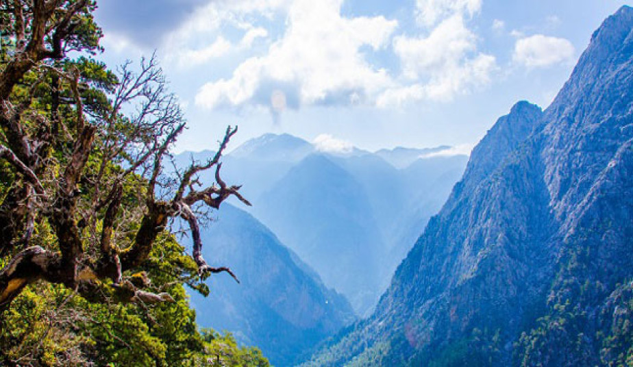Book Samaria Gorge Tour From Chania